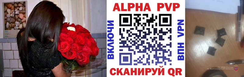 A PVP СК  Оренбург 