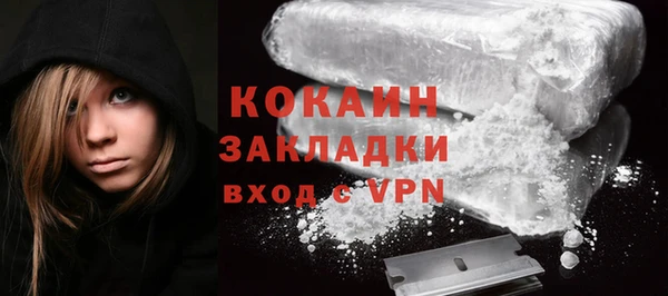 2c-b Бородино