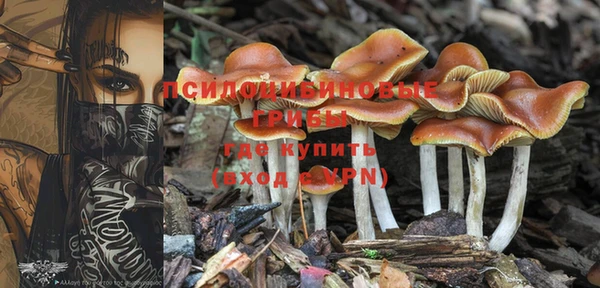 ешки Богданович
