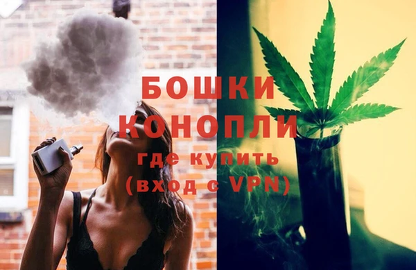 ешки Богданович