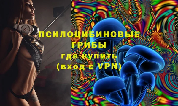 2c-b Бронницы